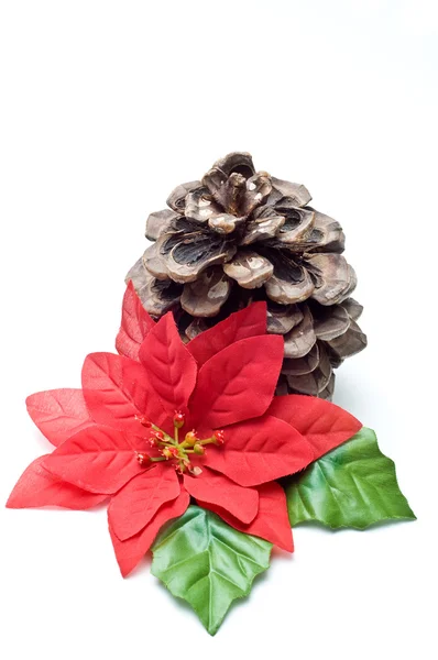 Fake poinsettia with old pine cone — Stock Photo, Image