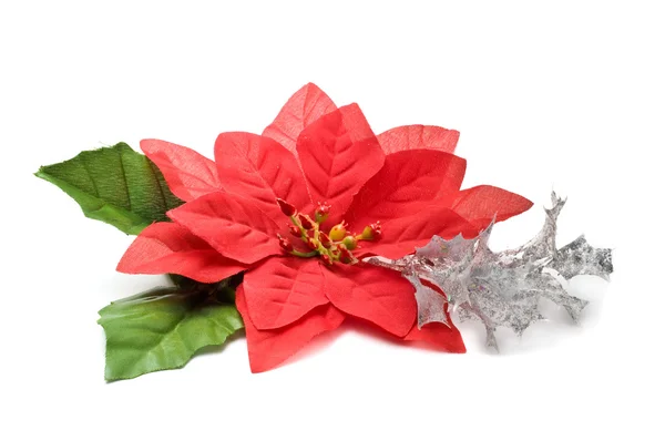 Fake poinsettia with silver branch — Stock Photo, Image