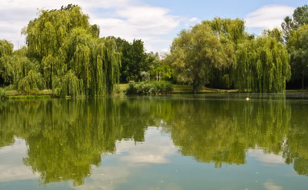 stock image Lake of Opusztaszer