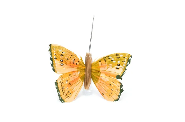 stock image Butterfly clip