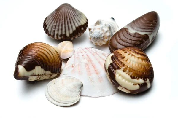Mix of chocolate assortments and seashells — Stock Photo, Image