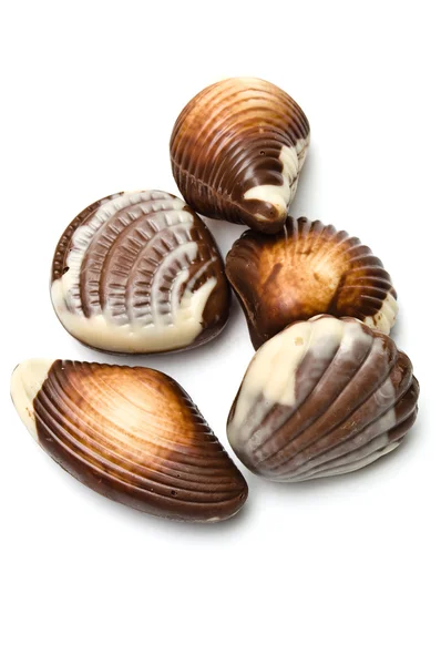Fem choklad mollusk formade sortiment — Stockfoto