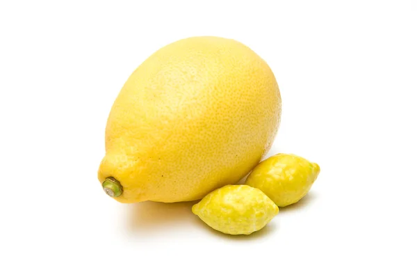 레몬과 껌 스톡 사진