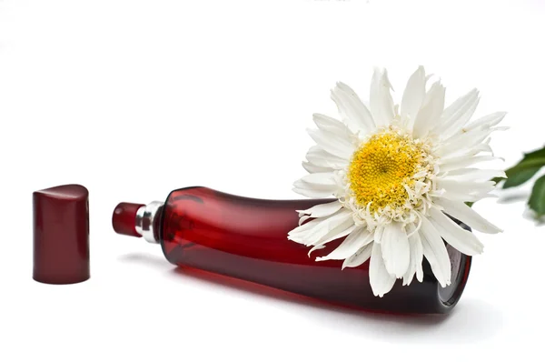 Offene Parfümflasche und Oxeye Daisy Dekoration — Stockfoto