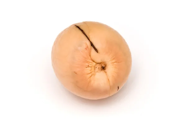 Kůže avokádem seed s tmavě hnědou jizvu — Stock fotografie