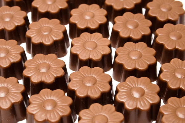 菊花形的巧克力分类组 — 图库照片