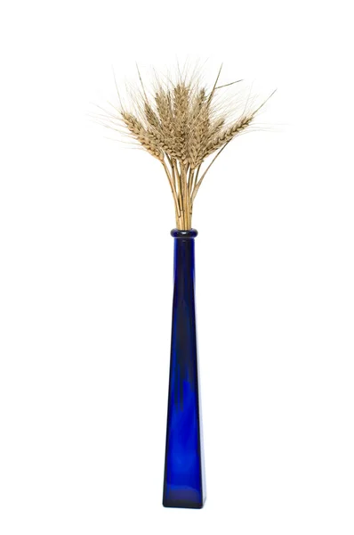 Bando de espinhos de trigo em vaso azul — Fotografia de Stock