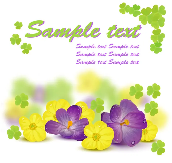 Fiori primaverili gialli e viola con foglie verdi di trifoglio Vettoriali Stock Royalty Free