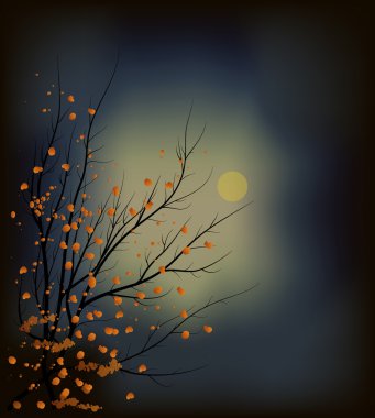 Dark wood in the sky with the moon clipart