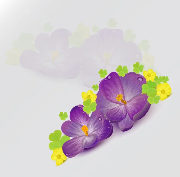 Crocus et buttercups — Image vectorielle