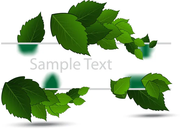 Zelené listy na bílém pozadí — Stockový vektor