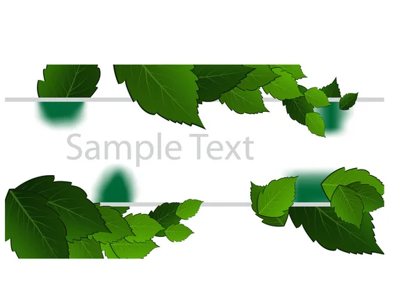 Green leaves on white background — Stock Vector
