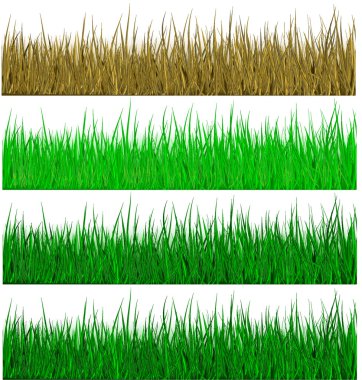 Green grass clipart