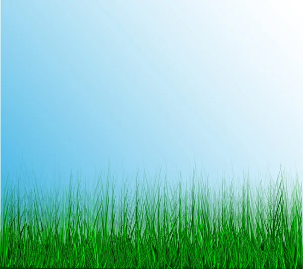 Grönt gräs — Stock vektor
