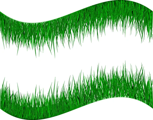 Зеленая трава — стоковый вектор