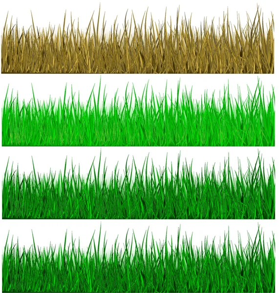 Green grass — Stock Vector