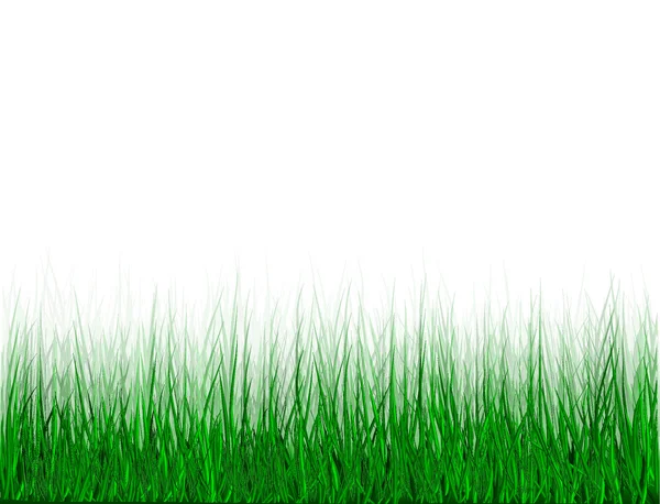 Erba verde — Vettoriale Stock