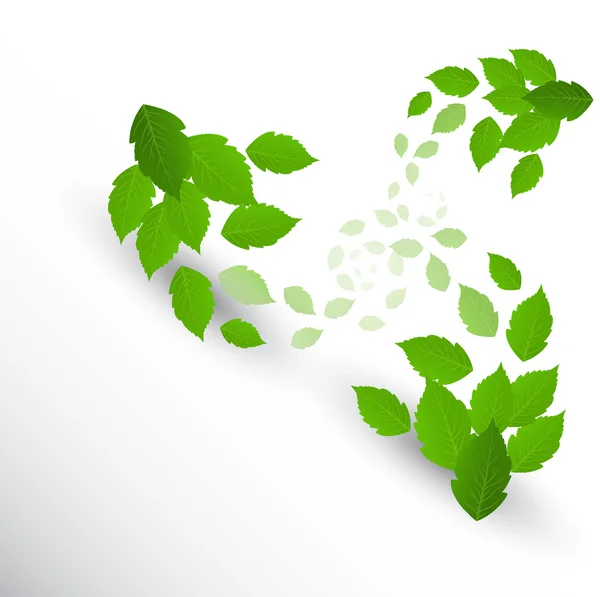 Grüne Blätter auf weißem Hintergrund — Stockvektor
