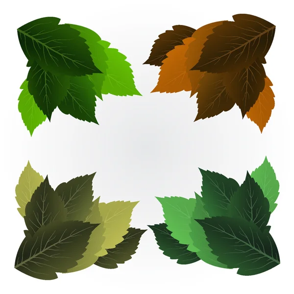 Зеленые листья на белом фоне — стоковый вектор