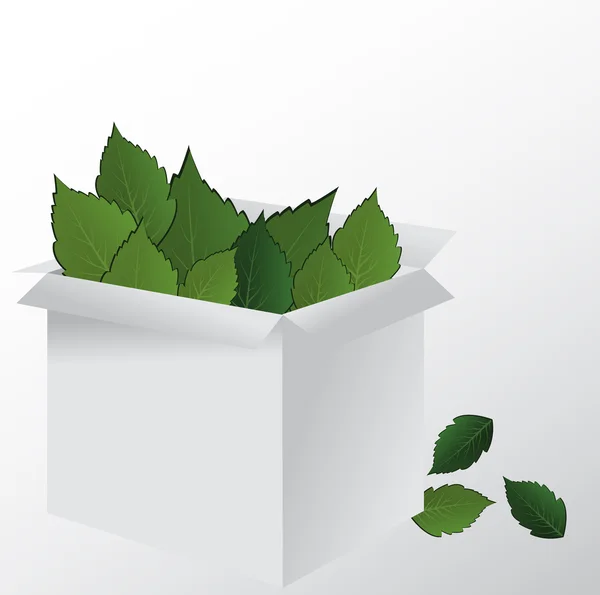 Box with green leaves — Stock Vector