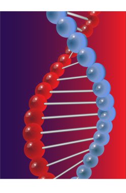 Molecule of DNA clipart