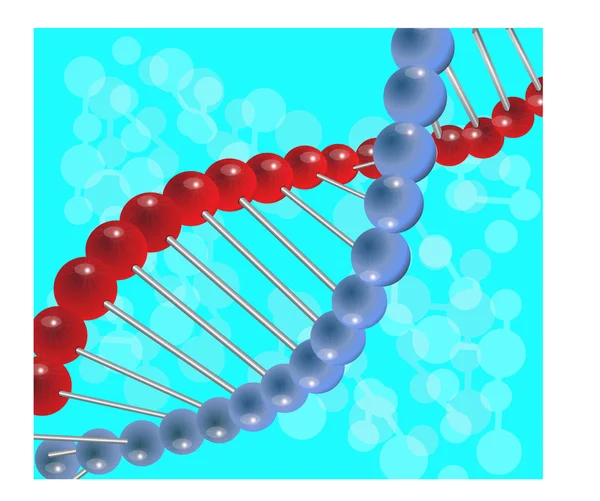 stock vector Molecule of DNA