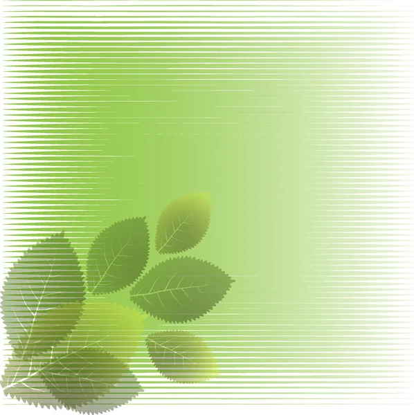 Green leaves — Stock Vector