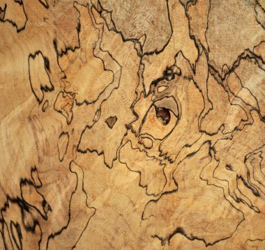 spalted akçaağaç