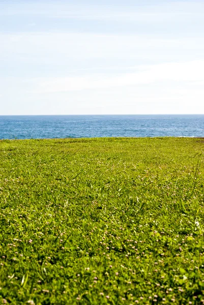 Gräs och hav — Stockfoto