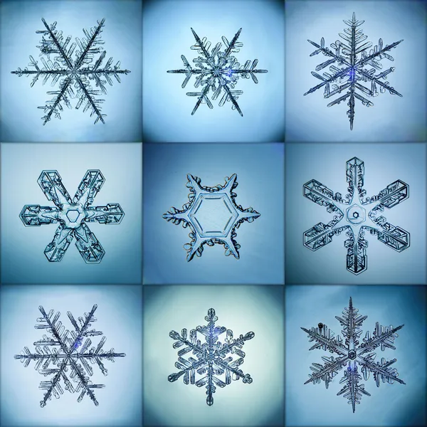 Verzameling van de natuurlijke macro sneeuwvlokken — Stockfoto