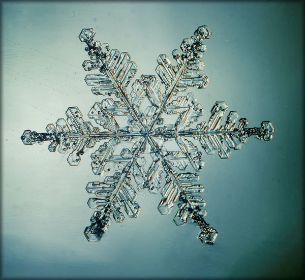 Natürliches Schneeflockenmakro — Stockfoto