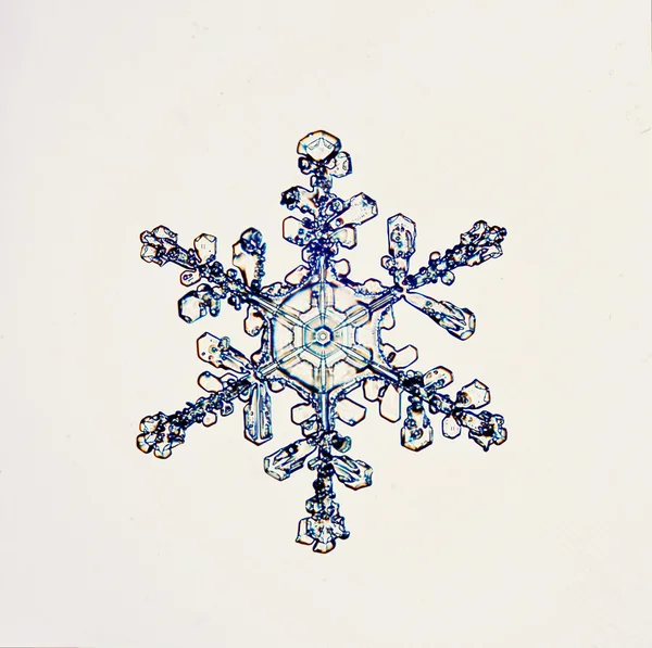 Ice crystal snowflake macro — Stock Photo, Image