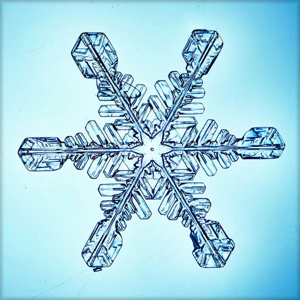Hielo cristal copo de nieve macro — Foto de Stock