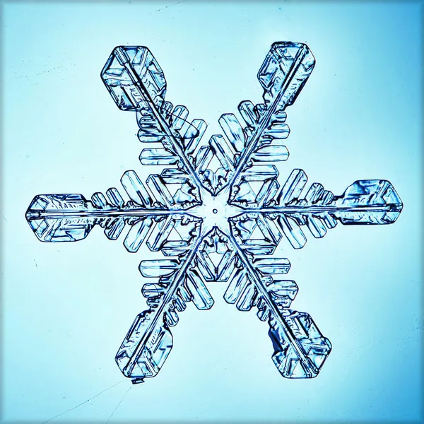 Ice crystal snowflake macro — Stock Photo, Image