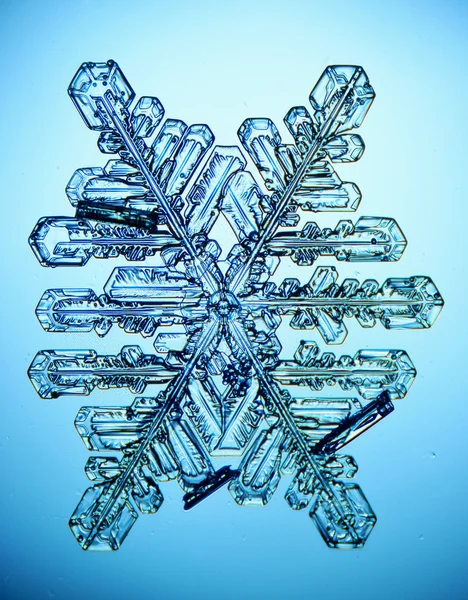 Iskristall snöflinga makro — Stockfoto