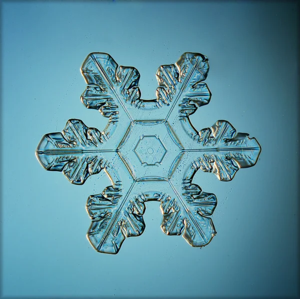 Hielo cristal copo de nieve macro — Foto de Stock