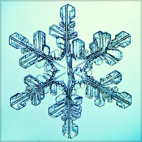 Iskristall snöflinga makro — Stockfoto