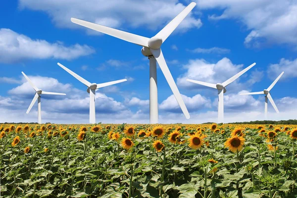 Windmill in a field of sunflowers — Stock Photo, Image
