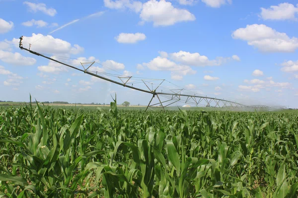 Irrigation system for agriculture — Stock Photo, Image