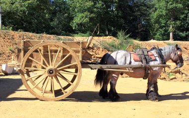 Draft horse clipart