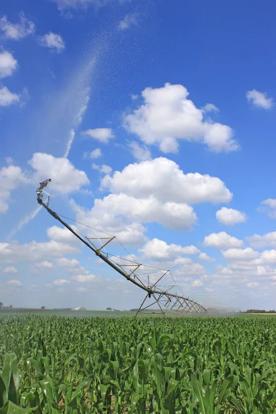 Irrigation system for agriculture — Stock Photo, Image