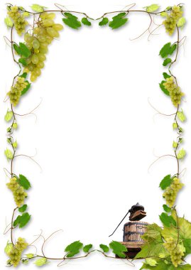 Vines and grapes clipart