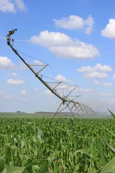 Irrigation system for agriculture — Stock Photo, Image
