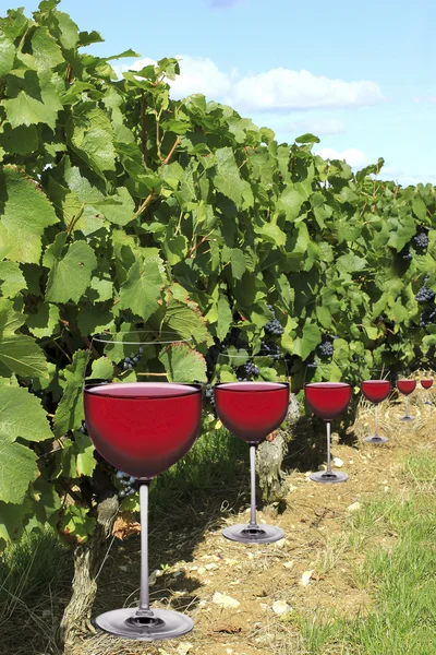 Verres ao vin — Fotografia de Stock