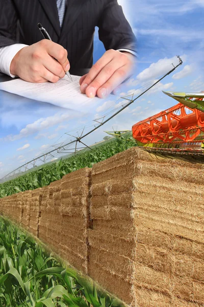 stock image Layout for agriculture