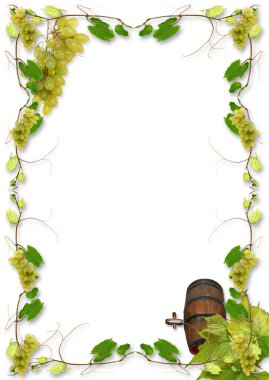 Vine and grape clipart