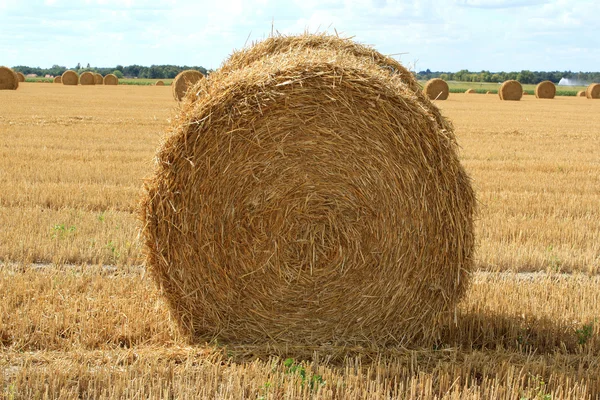 Haystack. — Fotografia de Stock