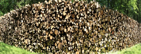 Leña troncos — Foto de Stock