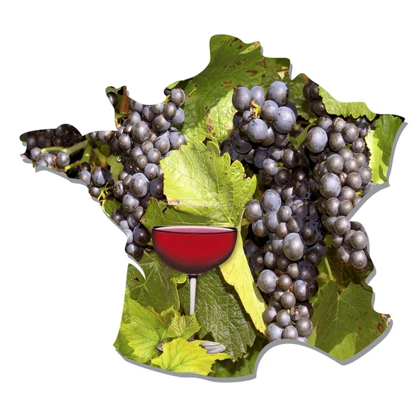 Вино во Франции — стоковое фото