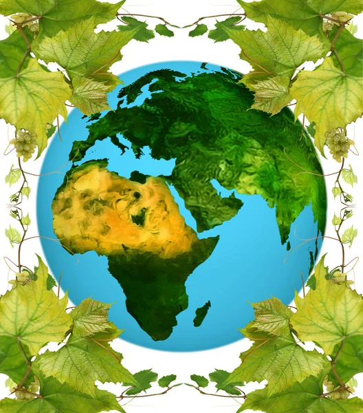 Dünya ve asma yaprağı — Stok fotoğraf